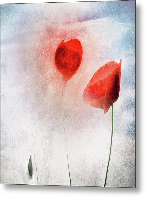 Poppy Metal Print featuring the photograph In Flanders Fields by Gilbert Claes