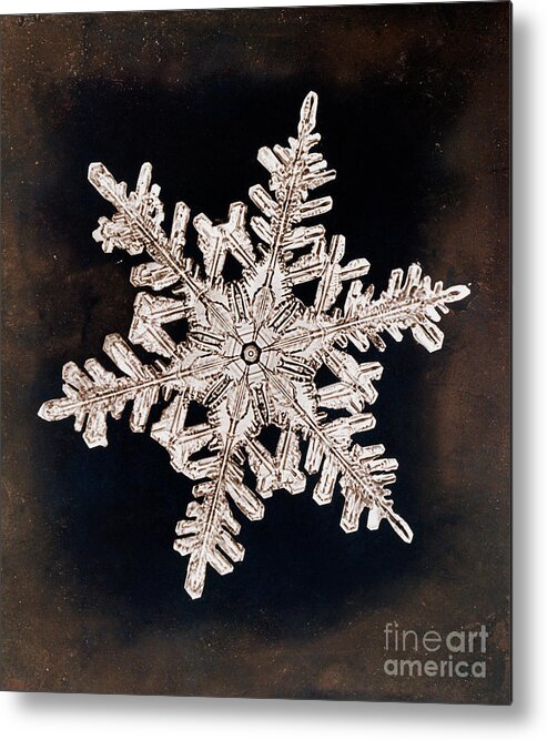Snowflake Metal Print featuring the photograph Snowflake by Metropolitan Museum Of Art/science Photo Library