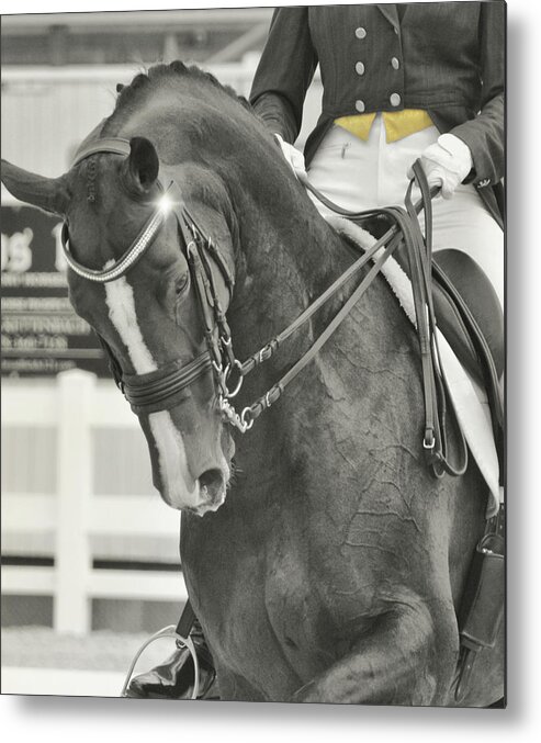 Are Metal Print featuring the photograph Sparkle Dressage by JAMART Photography