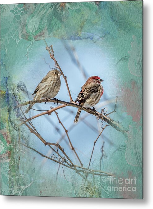 House Finch Metal Print featuring the photograph A House Finch Love Story by Sandra Rust