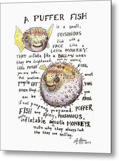 Puffer Fish Metal Print featuring the drawing A Puffer Fish by Eric Haines