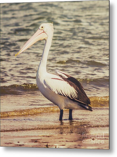 Beach Metal Print featuring the photograph Faded summers by Jorgo Photography