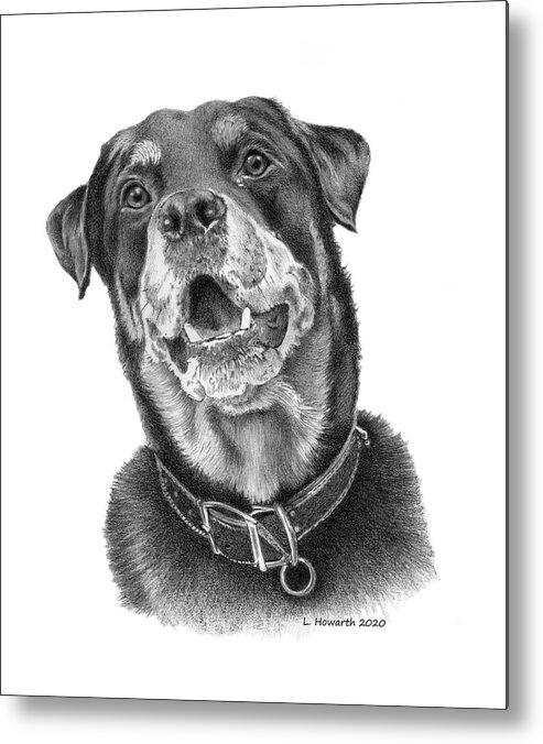 Dog Metal Print featuring the drawing Faithful Friend by Louise Howarth