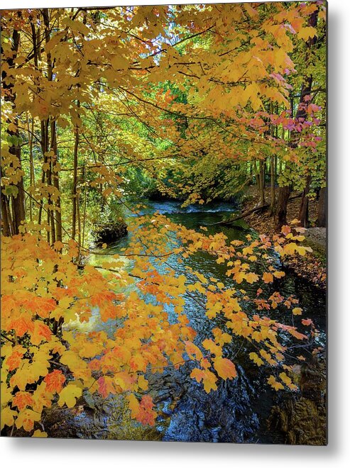 Tahquamenon Falls Metal Print featuring the photograph Fall aand Paint Creek Golden River IMG_5715 by Michael Thomas