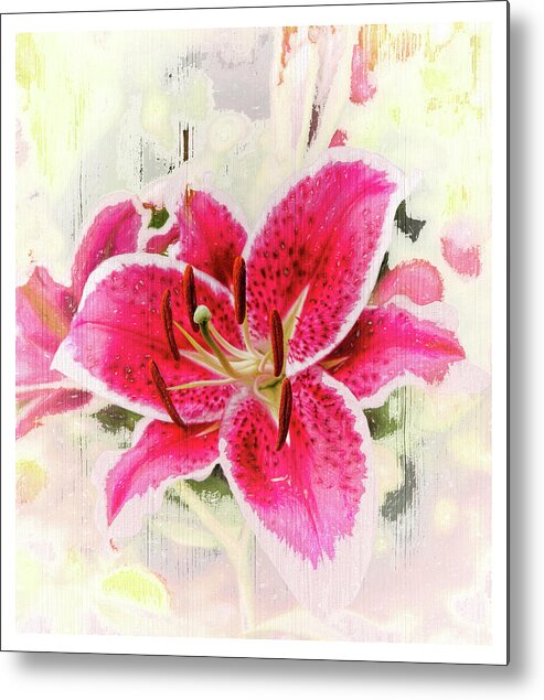 Lily Metal Print featuring the photograph Gazing at a Stargazer Lily by Ola Allen