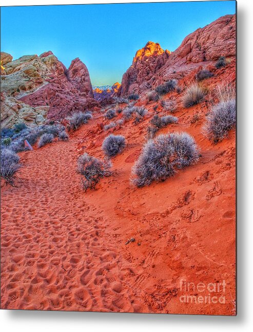  Metal Print featuring the photograph Life on Mars 1 by Rodney Lee Williams