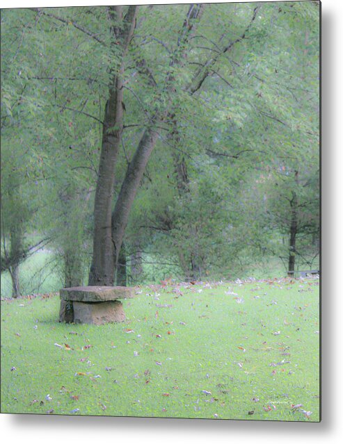 Bench Metal Print featuring the photograph Meet Me At The Stone Bench by Diane Lindon Coy