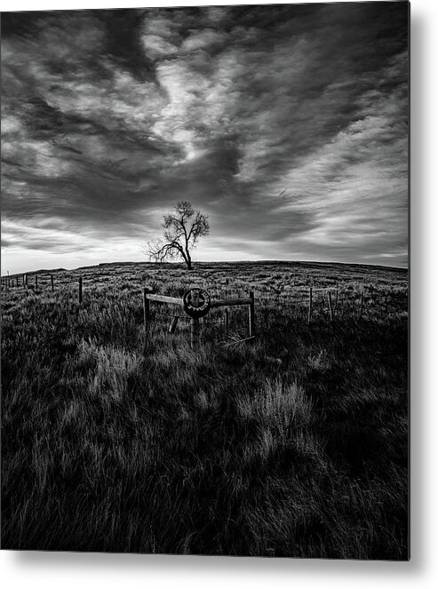  Metal Print featuring the photograph Murray Tree Monochrome by Darcy Dietrich