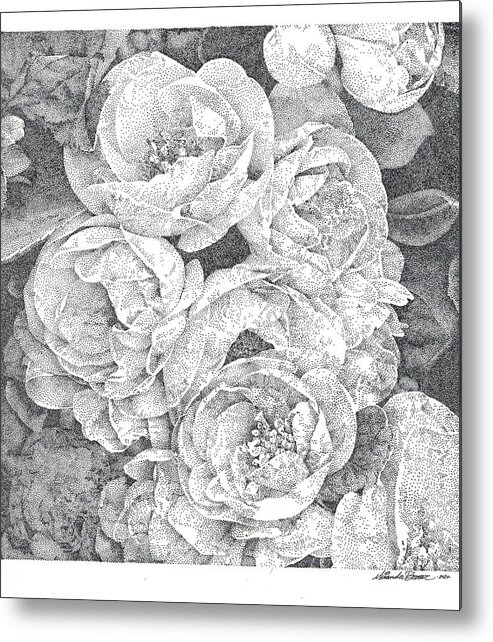 Floral Metal Print featuring the drawing Peonies by Miranda Brouwer