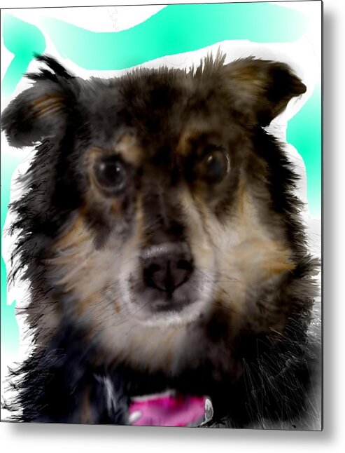 Dachshund Aussie Mix Pixie Cute Small Dog Metal Print featuring the mixed media Perfect Pixie by Pamela Calhoun