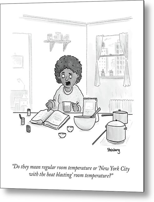 Do They Mean Regular Room Temperature Or 'new York City With The Heat Blasting' Room Temperature? Metal Print featuring the drawing Regular Room Temperature by Avi Steinberg