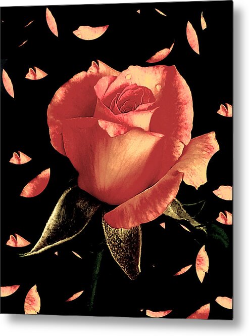 Rose Metal Print featuring the photograph Rose Petals by Dani McEvoy
