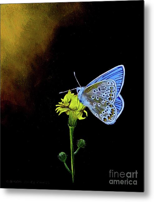 Butterfly Metal Print featuring the painting Silver Studded Blue by Gordon Palmer