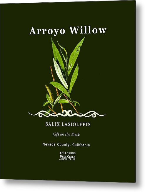 Arroyo Willow Metal Print featuring the digital art Willow by Lisa Redfern