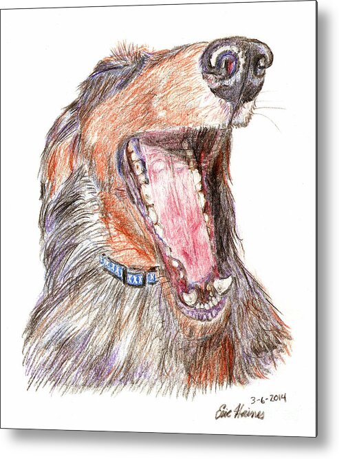 Yawning Metal Print featuring the drawing Yawning Wiener Dog by Eric Haines