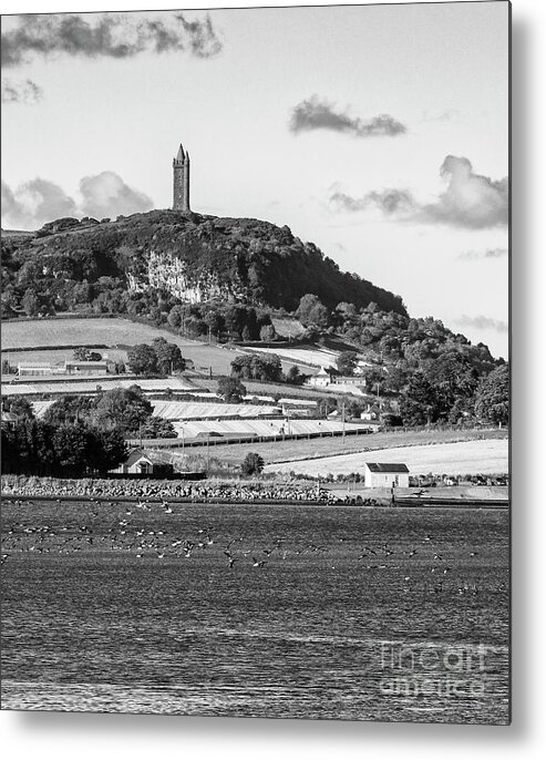 Castle Espie Metal Print featuring the photograph Scrabo Tower by Jim Orr