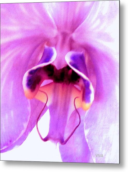 Orchid Metal Print featuring the photograph Orchid-InnerSecrets by VIVA Anderson