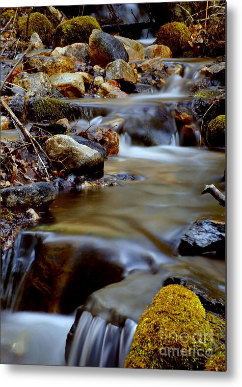 Water Metal Print featuring the photograph Bisbee Creek by Loni Collins