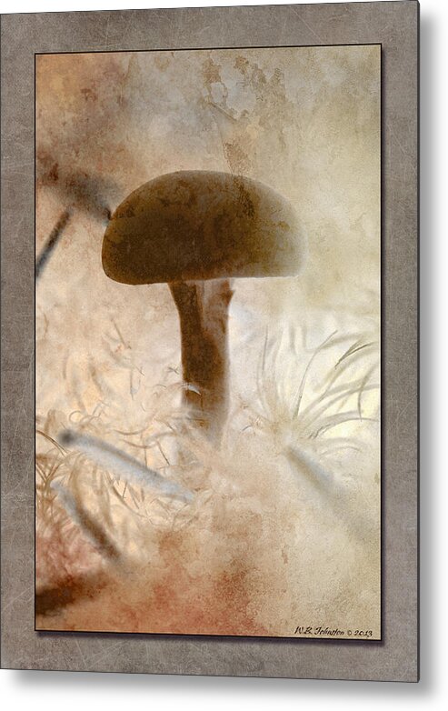 Mushroom Metal Print featuring the photograph Fall Mushroom 5 by WB Johnston