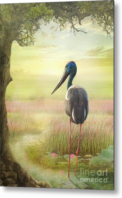 Bird Metal Print featuring the digital art Jabiru Dreaming by Trudi Simmonds