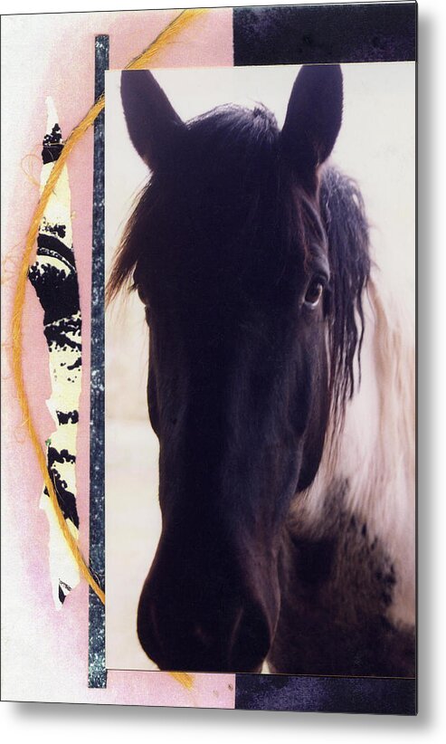 Horse Metal Print featuring the photograph Oreo by Mary Ann Leitch