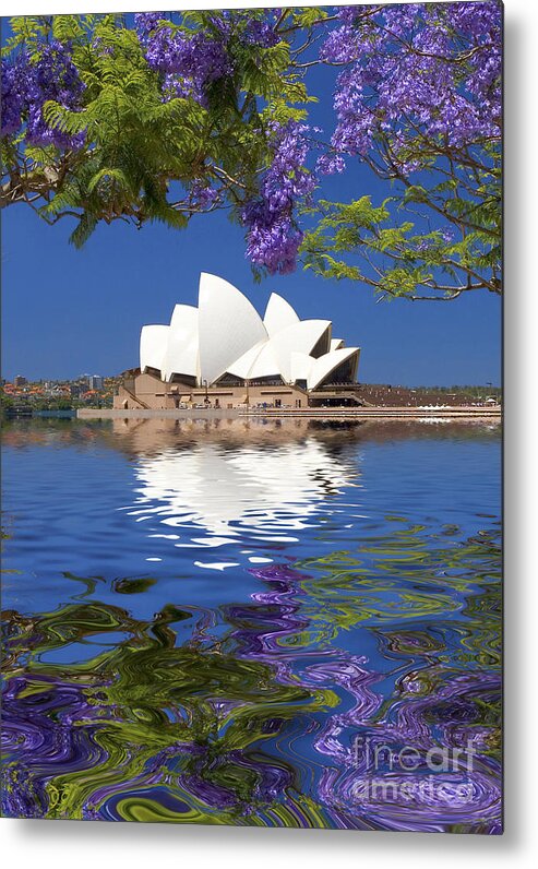Sydney Opera House Metal Print featuring the photograph Sydney Opera House with jacaranda reflection by Sheila Smart Fine Art Photography
