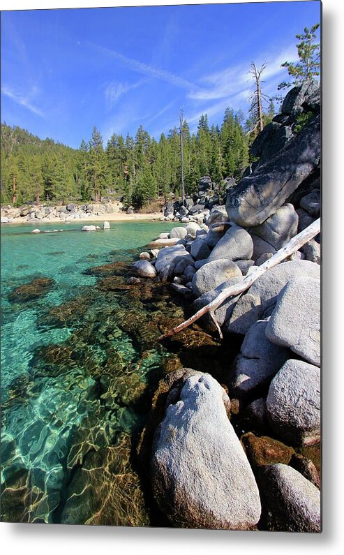 Summer Metal Print featuring the photograph A Day in May by Sean Sarsfield