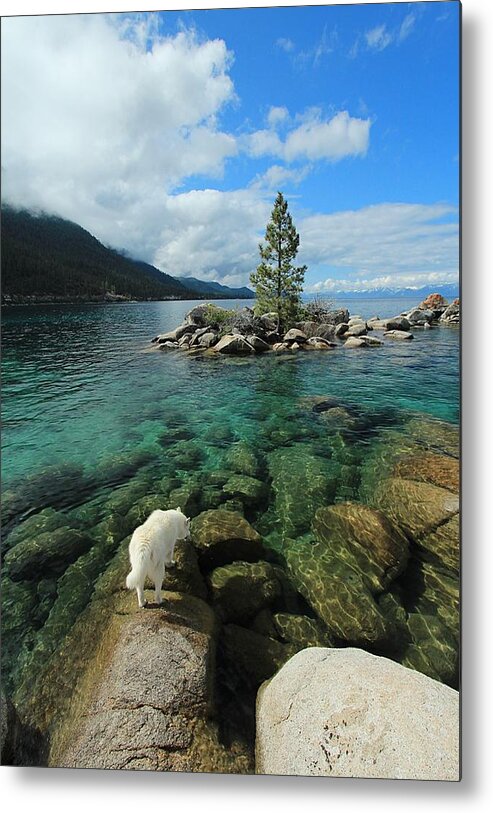 Lake Tahoe Metal Print featuring the photograph Tahoe Tap ...Nectar of The Gods by Sean Sarsfield