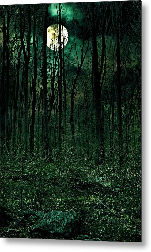 Landscape Metal Print featuring the photograph Full Moon #1 by Gerlinde Keating
