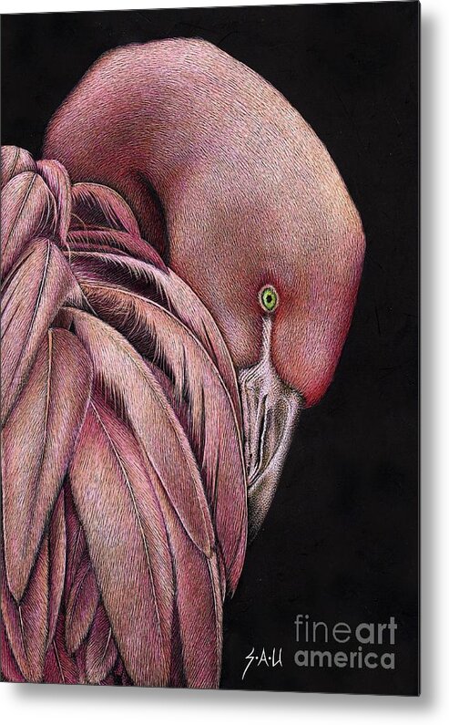 Flamingo Metal Print featuring the drawing Pretty in Pink #2 by Sheryl Unwin