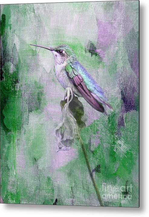 Hummingbird Metal Print featuring the digital art Resting Spot by Jayne Carney