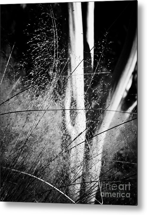 Landscape Metal Print featuring the photograph A Gentle Breeze by Gerlinde Keating