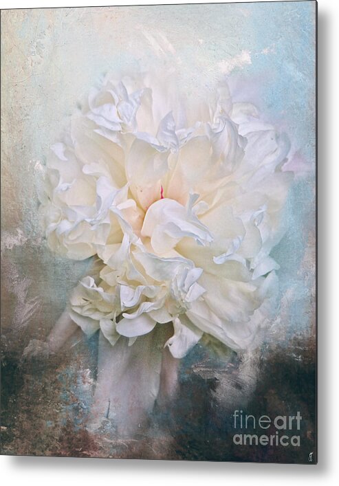 Abstract Metal Print featuring the photograph Abstract Peony in Blue by Jai Johnson