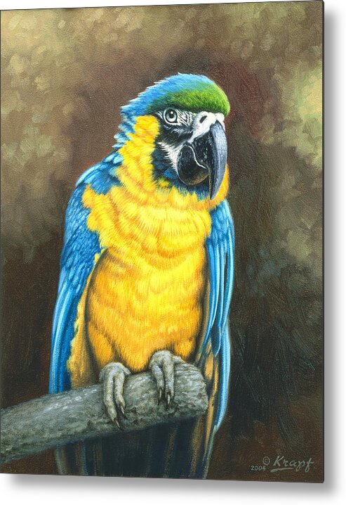 Wildlife Metal Print featuring the painting Blue and Gold Macaw by Paul Krapf