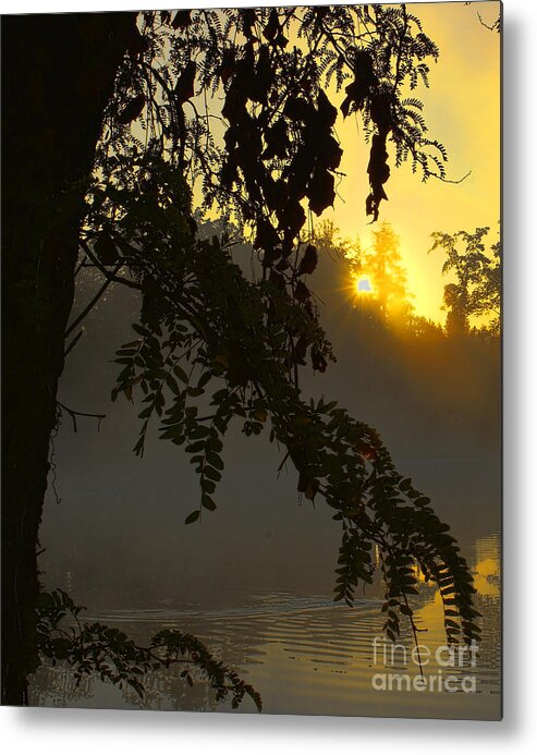 Image Metal Print featuring the photograph Foggy Waters by M Three Photos