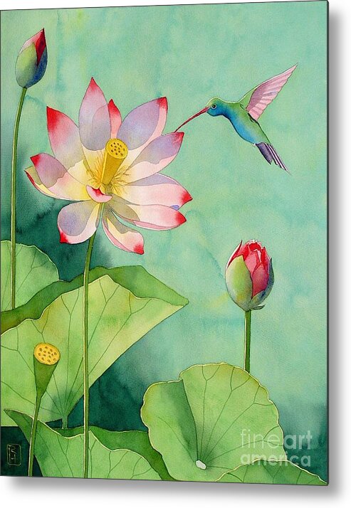 Watercolor Metal Print featuring the painting Lotus And Hummingbird by Robert Hooper
