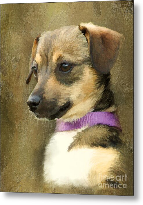 Chihuahua Metal Print featuring the digital art Portrait of Maizie by Jayne Carney