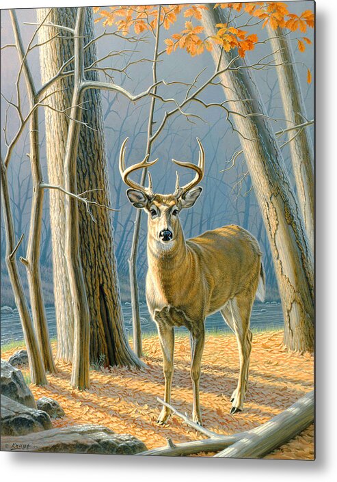 Wildlife Metal Print featuring the painting Pre-Flight- Whitetail Buck by Paul Krapf