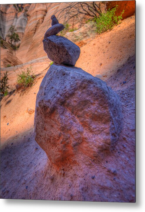 New Mexico Metal Print featuring the photograph New Mexico 30 by David Henningsen