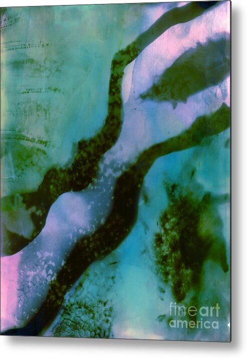 Photogram Metal Print featuring the photograph Em18 by Mark Stankiewicz