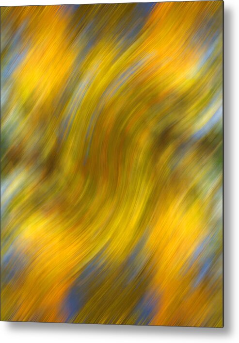 Leaves Metal Print featuring the photograph Fall Colors Abstract by Bob Coates