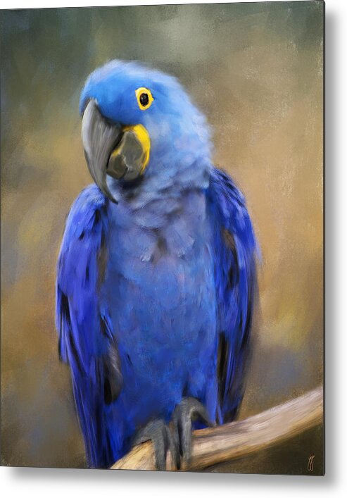 Bird Metal Print featuring the painting Hyacinth Macaw by Jai Johnson