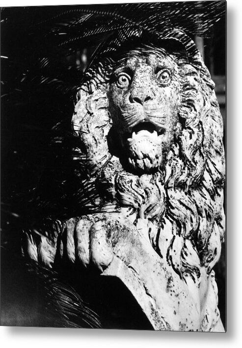 Lion Metal Print featuring the photograph King of the Concrete Jungle by Allan McConnell