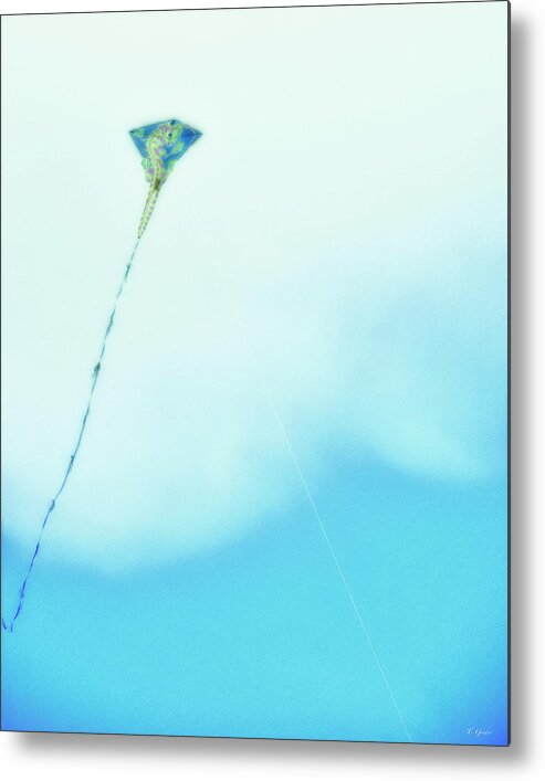 Kite Metal Print featuring the photograph Kite by Tony Grider
