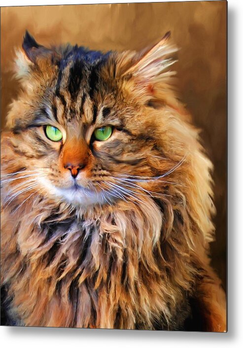 Maine Coon Metal Print featuring the painting Maine Coon Cat by Jai Johnson