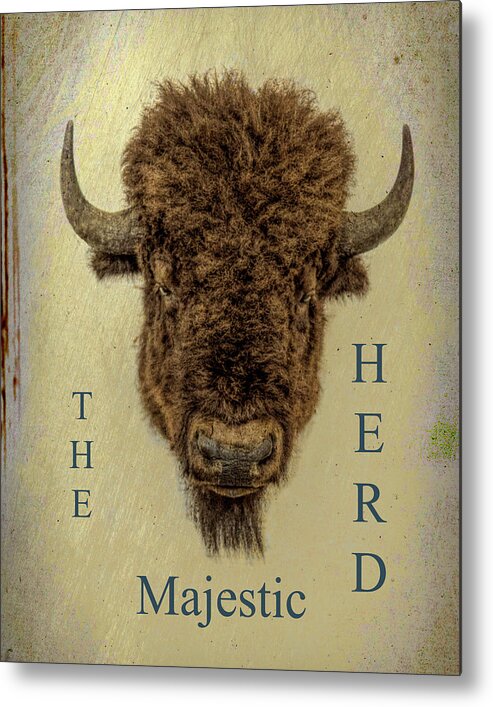  Bison Metal Print featuring the mixed media The Majestic Herd by M Three Photos