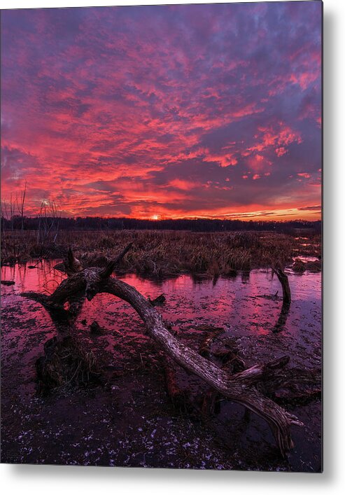 Wisconsin Metal Print featuring the photograph Rutland Dunn-set - spectacular sunset above wetlands and pond with arched deadwood log in Wisconsin by Peter Herman