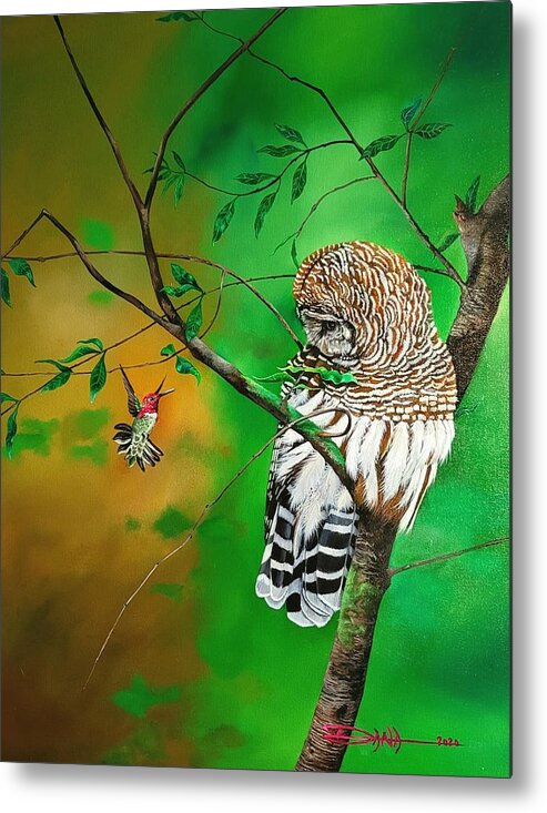 Birds Metal Print featuring the painting Barred Owl and Anna's hummingbird by Dana Newman
