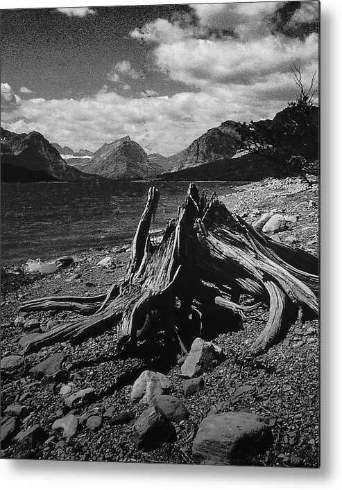 Canada Metal Print featuring the photograph Driftwood at the Lake by S Katz