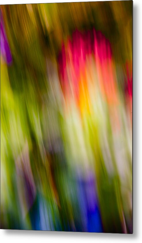 Butterfly World Metal Print featuring the photograph Abstraction of Butterflies by Jon Glaser